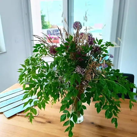 Ξενοδοχείο με διαμερίσματα Dalmacija 4*