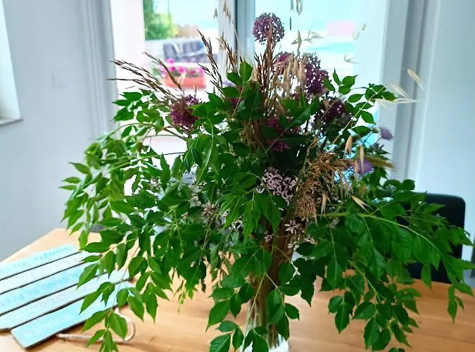 Aparthotel Dalmacija 4*